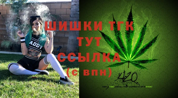 ALPHA PVP Баксан