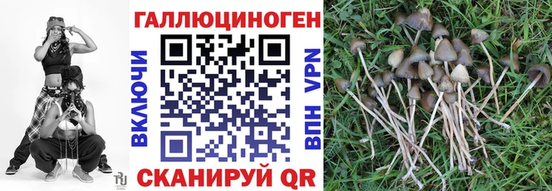 Псилоцибиновые грибы мухоморы Краснообск